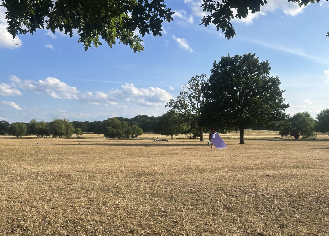 Summer in London